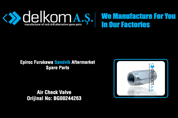 Air Check Valve
