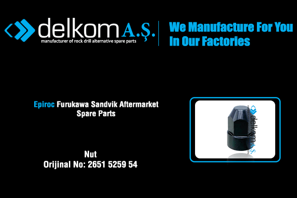 Ecrou de goujon principal