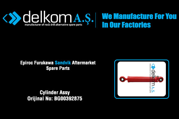 Цилиндр в сборе