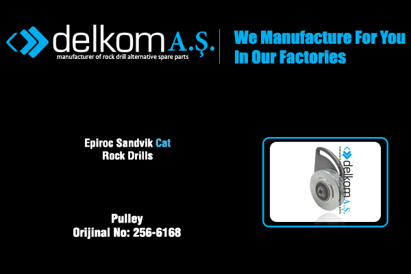 Devirdaim Gergi Kasnağı